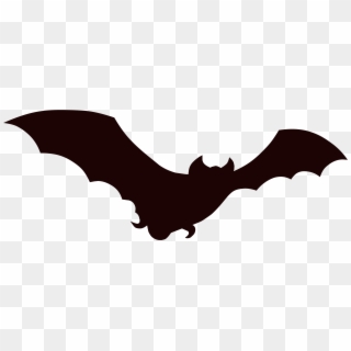 Obsession Cartoon Bat Pictures Of Bats 22894 1300 876 - Bat Png, Transparent Png