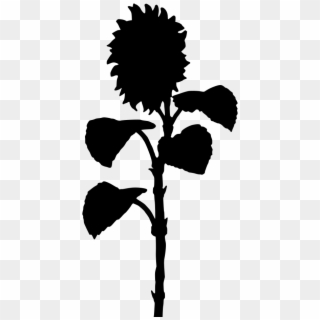 Download Png - Sunflower Silhouette Png, Transparent Png
