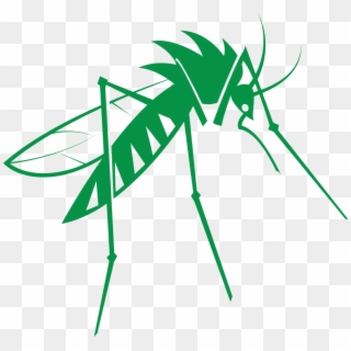 Mosquito Png Free Download - Illustration, Transparent Png