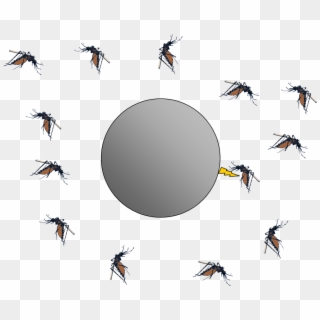 It - Fly Mosquito Png, Transparent Png