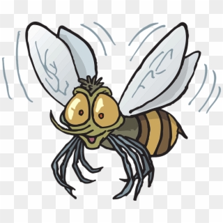 Bee Flying Insect - Insect Flying Clipart, HD Png Download