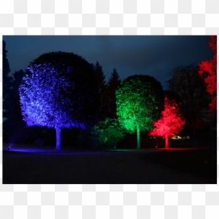 Led Lamp E27 Par38 Outdoor Spotlight - Tree, HD Png Download
