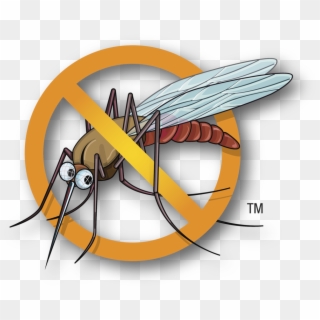 Mosquito Clipart Malaria Mosquito - Anti Mosquito Clipart Png, Transparent Png
