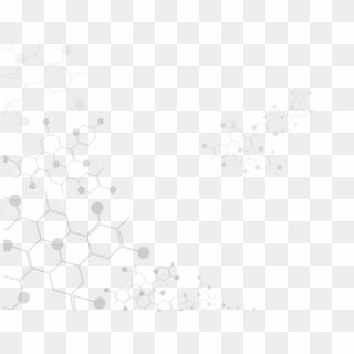 White Background Png, Transparent Png