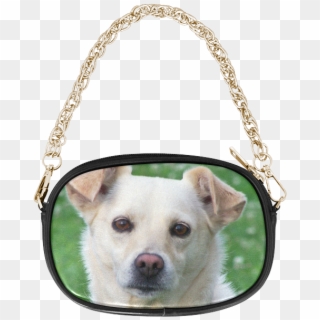 Dog Face Close-up Chain Purse - Gold Star Black Purse, HD Png Download