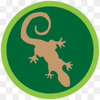 Enders Game Army Logo - Salamander, HD Png Download