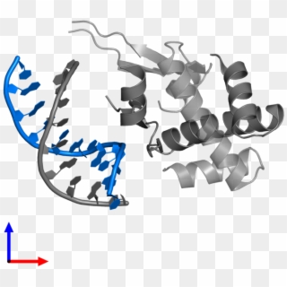 <div Class='caption-body'>pdb Entry 4yft Contains 1 - Calligraphy, HD Png Download