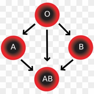 Blood Compatibility - Four Blood Types, HD Png Download