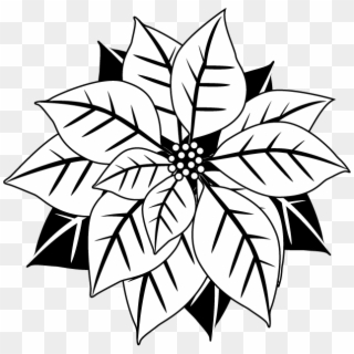 Poinsettia Clipart Flourishes - Black And White Mistletoe, HD Png Download
