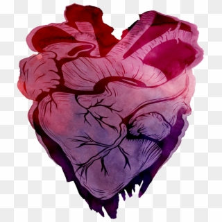 Heart Watercolor Png, Transparent Png