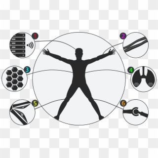 Sharpie's Body Structure - Modern Vitruvian Man Logo, HD Png Download