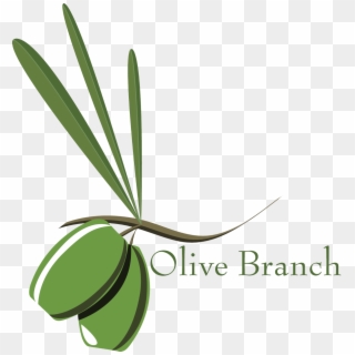 The Olive Branch Environment - Olive Branch Petition Drawing, HD Png Download