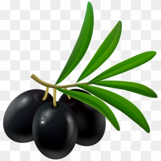 Black Png Best Web Ⓒ - Olives Clipart, Transparent Png
