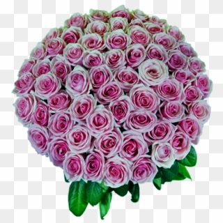50 Pink Roses Bouquet, HD Png Download