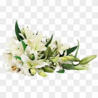 White Lily Bouquet - White Lily Flowers Png, Transparent Png