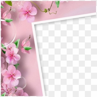 Cherry Blossom Frame Png, Transparent Png