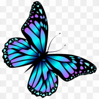Blue Butterfly Png High-quality Image - Butterfly Png, Transparent Png