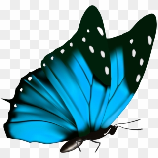 Butterfly Png Clipart Image - Butterfly Png Full Hd, Transparent Png