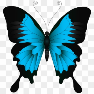 Blue Butterfly Png Clip Art Image - Butterfly Png, Transparent Png