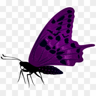 Large Purple Butterfly Png Clip Art Image, Transparent Png