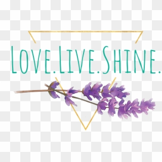 Love Live Shine, HD Png Download