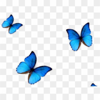 Kisspng Butterfly Blue Phengaris Alcon Blue Butterfly - Butterfly Png For Editing, Transparent Png