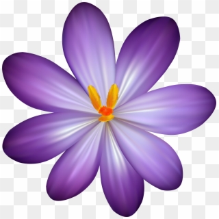 Purple Crocus Flower Png Clipart Image - Clip Art, Transparent Png