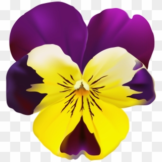 Violet Flower Transparent Png Clip Art - Pansy Clip Art, Png Download