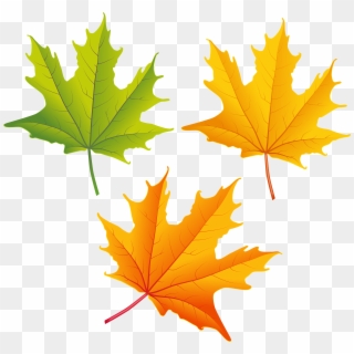 Autumn Leaves Png PNG Transparent For Free Download - PngFind