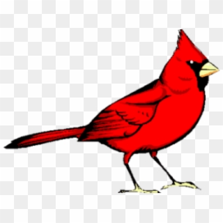 Free Png Download Red Bird Png Images Background Png - Red Bird, Transparent Png