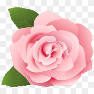 Rose Png - Rose Pink Flower Cartoon, Transparent Png - 600x523(#84829 ...