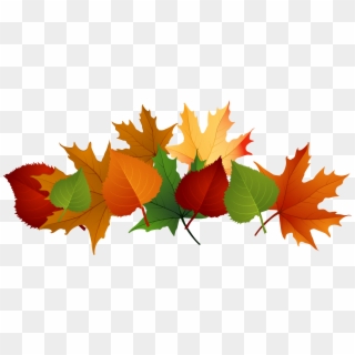 Autumn Leaves Png Transparent Image - Fall Leaves Transparent Background, Png Download