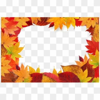 Free Png Download Autumn Leaves Clipart Png Photo Png - Autumn Leaves Frame Png, Transparent Png