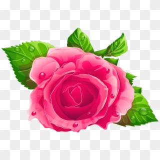 Pink Rose Clipart Png, Transparent Png