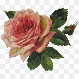 Vintage Victorian Rose Single - Png Vintage Pink Flower Transparent, Png Download