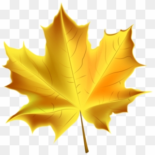 Beautiful Yellow Autumn Leaf Transparent Png Clip Art - Yellow Fall Leaf Clipart, Png Download