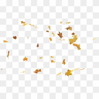 Falling Leaf Png Photos - Free Leaf Animated, Transparent Png