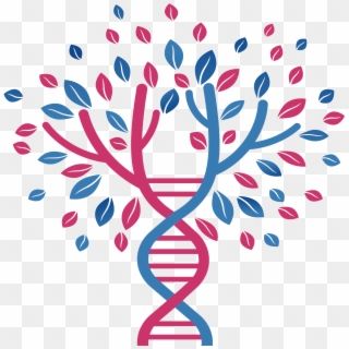 Tree Of Hope - Dna Tree, HD Png Download