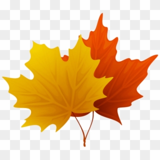 Download Fall Maple Leaves Png Decorative Clipart Png - Maple Leaves Clip Art, Transparent Png