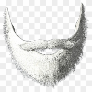White Beard Png - Sketch, Transparent Png