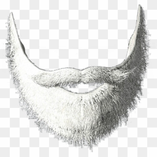 Man Beard png images