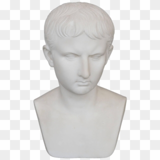 Download - Bust, HD Png Download