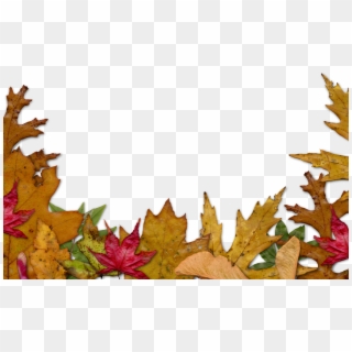 Autumn Leaves Clipart Corner, HD Png Download