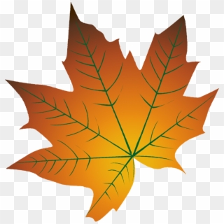 Autumn Leaf Color Cartoon Autumn Leaf Color, HD Png Download