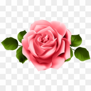 Red Rose Transparent Png Clip Art - Pink Red Rose Png, Png Download