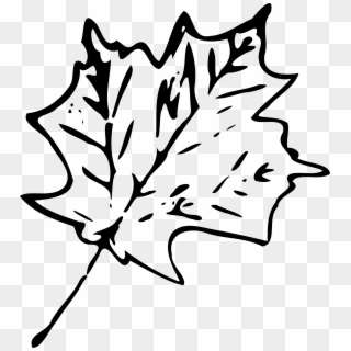 Leaf Clipart Black And White Png, Transparent Png