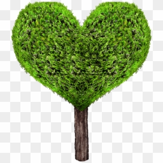 Tinder green heart empty