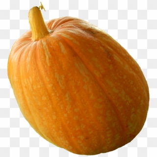 Real Pumpkin Png Transparent Image - Gourd, Png Download