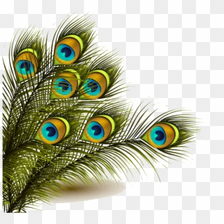 Peafowl Feather Clip Art, HD Png Download