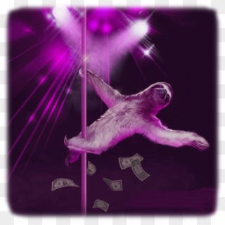 Stripper Sloths , Png Download, Transparent Png
